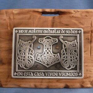 placa vikinga